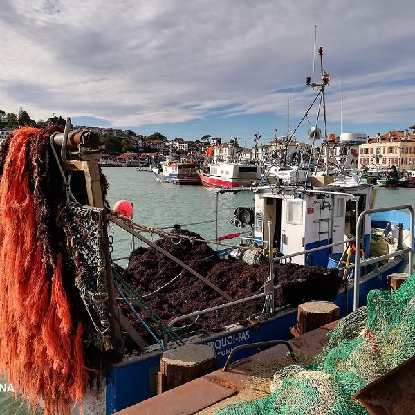 bateau peche drague algue rouge saint-jean-de-luz
